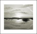 Saltmarsh Sunrise