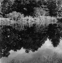 John's Pond