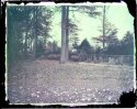 FP-100C NEGATIVE bleaching - My Yard/Garden