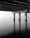 Under the Bridge