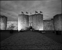 Historial de la Grande Guerre
