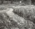 Hunting Stand - Portersville, PA