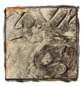 Signs and Symbols scan 11