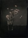 White Flowers In A Glass