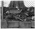 Downtown Dirt,Bradley Ave.Knoxville Tn