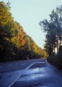 Autumn Road