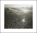 Tide Prints