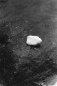 Two stones