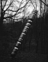Tony Cragg: Photon, 2008