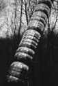 Close Up - Tony Cragg: Photon