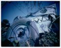 Road Shark