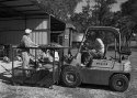 My Dad at the Farm