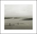 Six Birds, Wet Sand