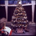 Holiday Wishes
