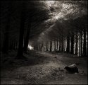 dark passage