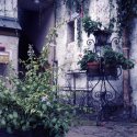 Planters, Courtyard, Chalon-sur-Saone