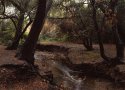 Poway creeks: Beeler Creek at Bette Bendixen Park