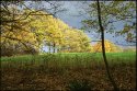 Autumn colours