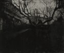 Dusk; Noah, Clifton 2012