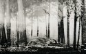 The Dreamer - Negative overlay