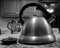 MSA cheap camera - "Tea Time"