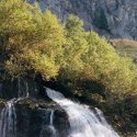 Swiss Alps 2010 waterfall