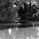 Testing 120  Rollie Pan 25 in XTol