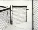 Left Field Gate, New Year's Day