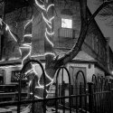 Wonderland Ballroom, Snowstorm