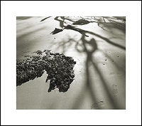 Shadows, Clay, and Sand