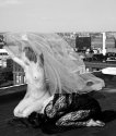 Windblown II