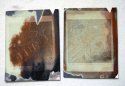 Lusotype - with and without NaCl