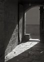 sunlight