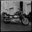 Harley Davidson