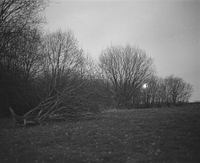 Rising moon after dawn