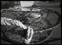 crab pot, newport docks