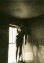 In the Window