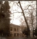 Van Dyke Brown prints