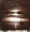 Van Dyke Brown prints
