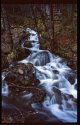 Unknown Creek Near Lake Cushman east side of Olympic National Park