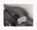 Violin Bridge
