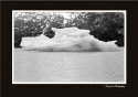 Glacial Ice