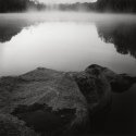 Fog on the River
