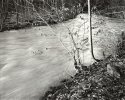 Winter Light, Mill Creek