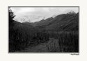 Johnson Pass Trail