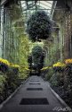 Longwood Gardens