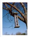 Low Winter Sun (Instant Film)