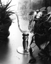 Lens test 1