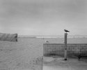 Shower station, Sunset Beach, California