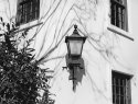 Images from Florida